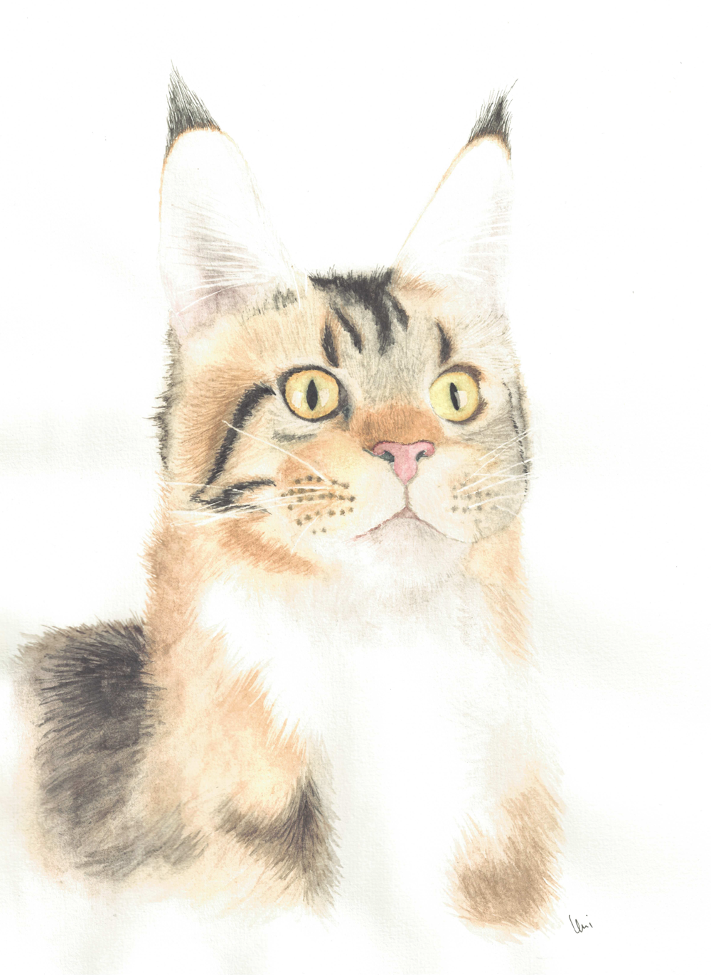 Watercolor cat, looking at a point outside the frame